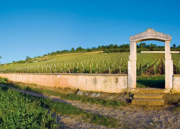 Apartment Clemenceau *